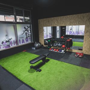 fuerza entrenamiento